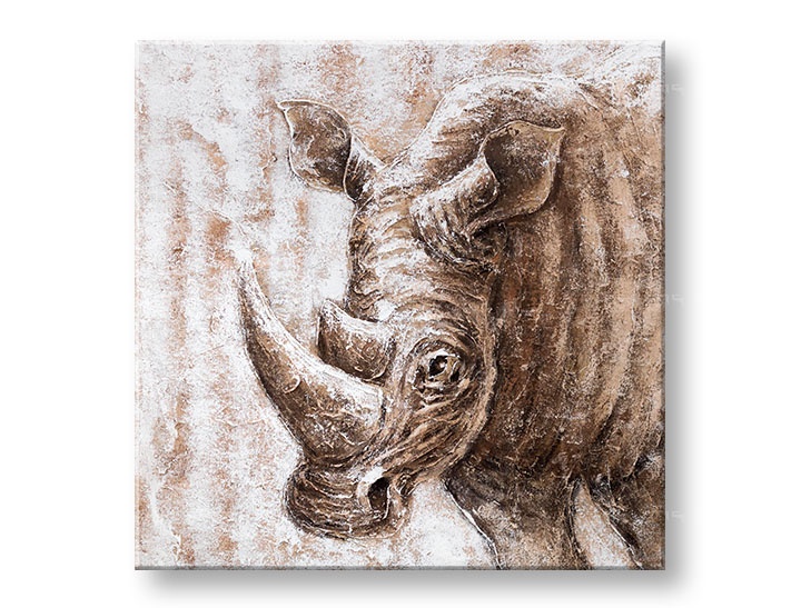 E-shop Maľovaný obraz na stenu NOSOROŽEC 70x70 cm