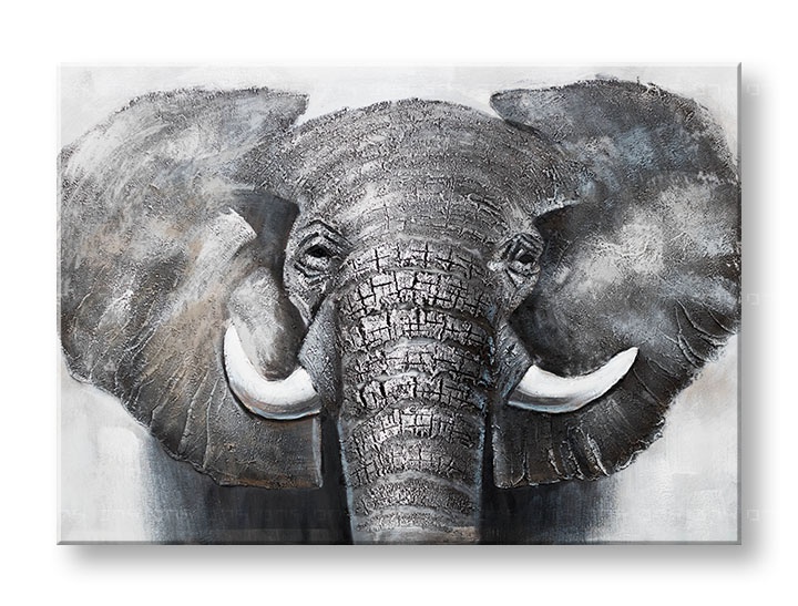 E-shop Maľovaný obraz na stenu SLON 100x70 cm