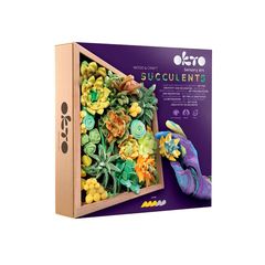 E-shop OKTO modelovacia sada sukulentov 21 x 21 cm ENERGIA