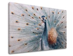 E-shop Obraz na plátne PÁV 90x60 cm