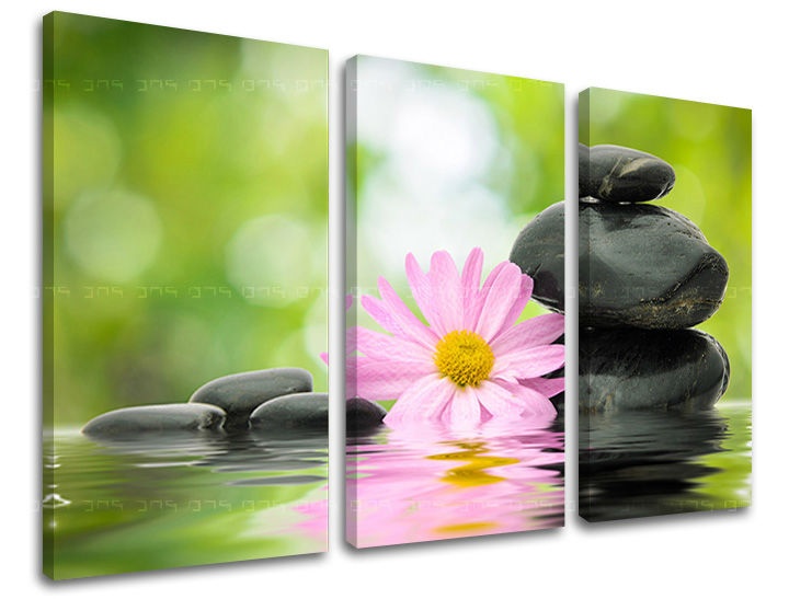 E-shop Obraz na stenu 3 dielny FENG SHUI FS009E30