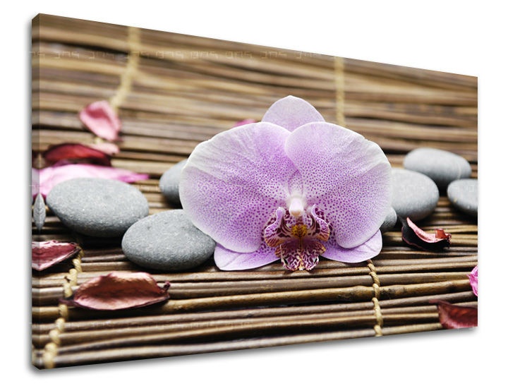E-shop Obraz na stenu FENG SHUI FS010E11