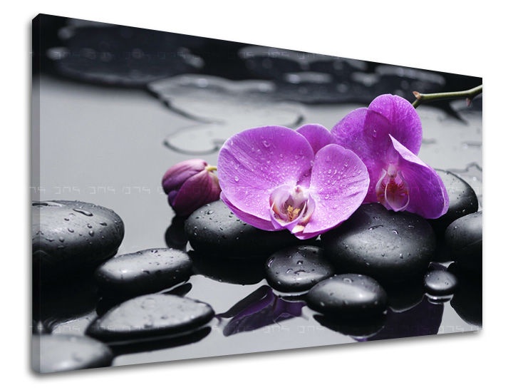 E-shop Obraz na stenu FENG SHUI FS011E11