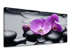Levně Nástěnná malba PANORAMA FENG SHUI 60x120 cm