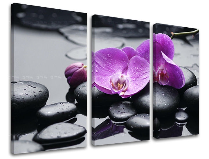 E-shop Obraz na stenu 3 dielny FENG SHUI FS011E30