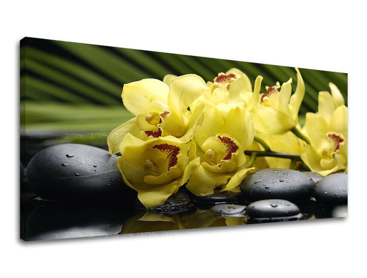 Levně Nástěnná malba PANORAMA FENG SHUI FS012E13