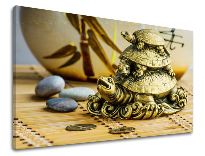 E-shop Obraz na stenu FENG SHUI FS015E11