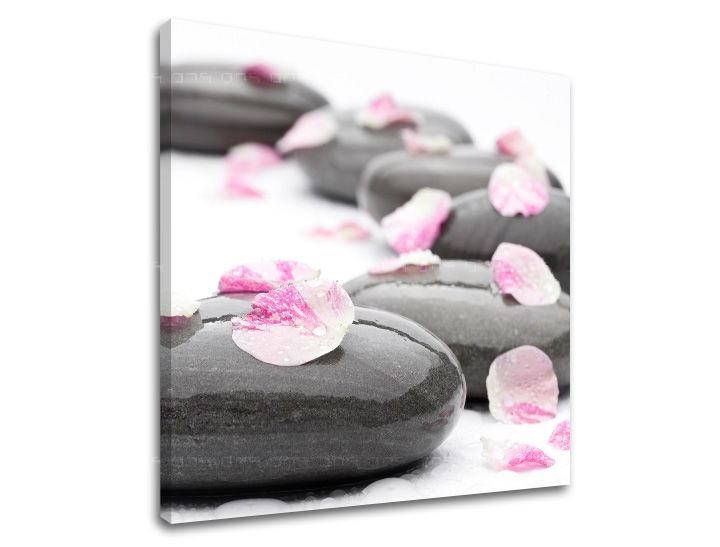 E-shop Obraz na stenu FENG SHUI FS019E12