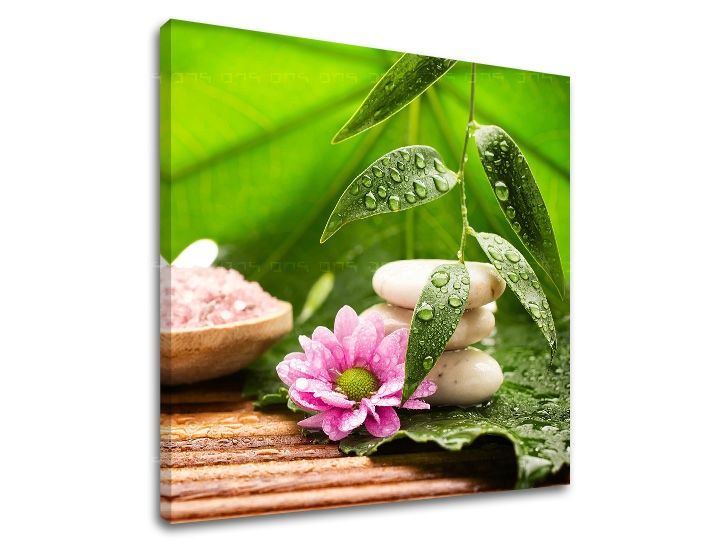 E-shop Obraz na stenu FENG SHUI FS021E12