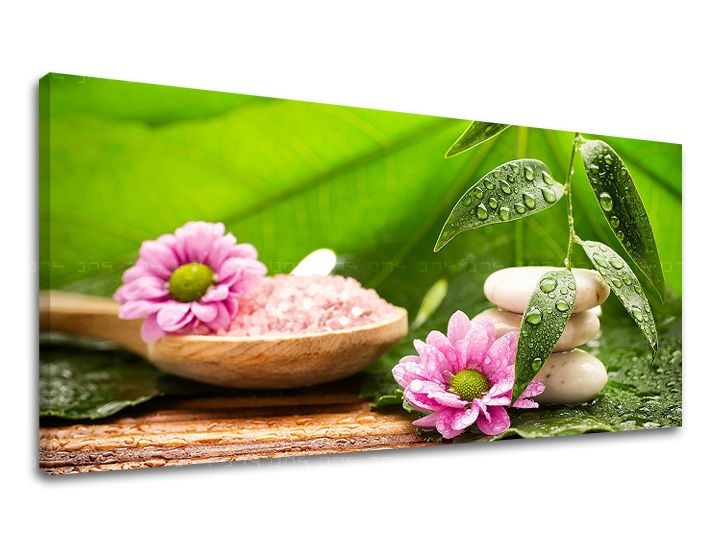 E-shop Obraz na stenu PANORÁMA FENG SHUI FS021E13