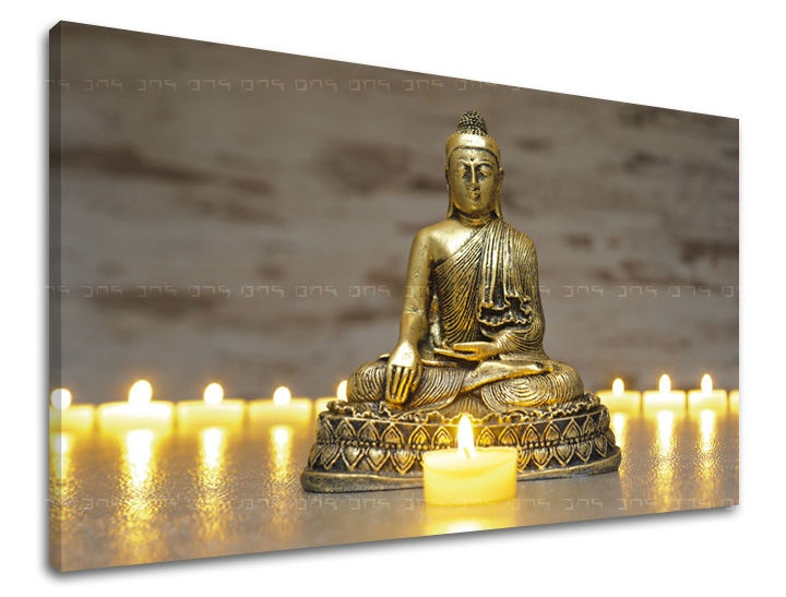 E-shop Obraz na stenu FENG SHUI FS022E11