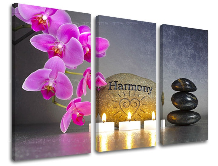 E-shop Obraz na stenu 3 dielny FENG SHUI FS023E30