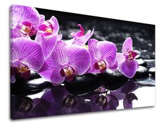 E-shop Obraz na stenu FENG SHUI 120x80 cm