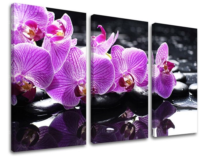 E-shop Obraz na stenu 3 dielny FENG SHUI FS024E30