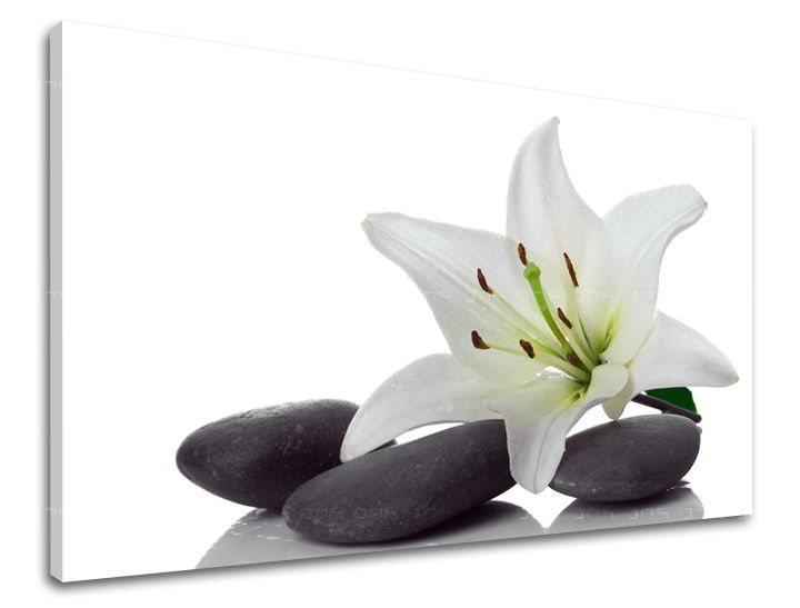E-shop Obraz na stenu FENG SHUI FS029E11