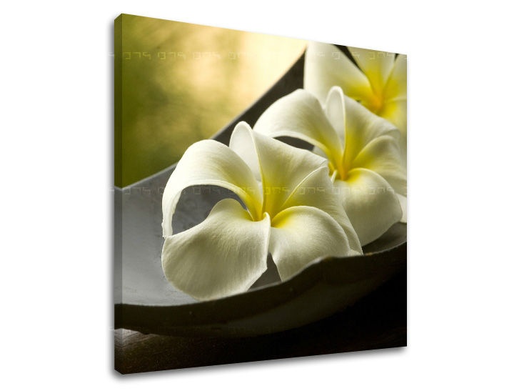 E-shop Obraz na stenu FENG SHUI FS031E12