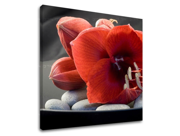 E-shop Obraz na stenu FENG SHUI FS032E12