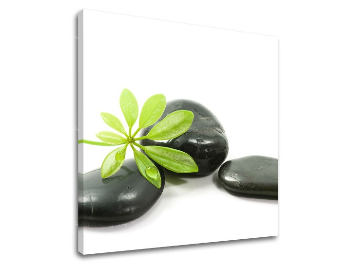 E-shop Obraz na stenu FENG SHUI FS041E12