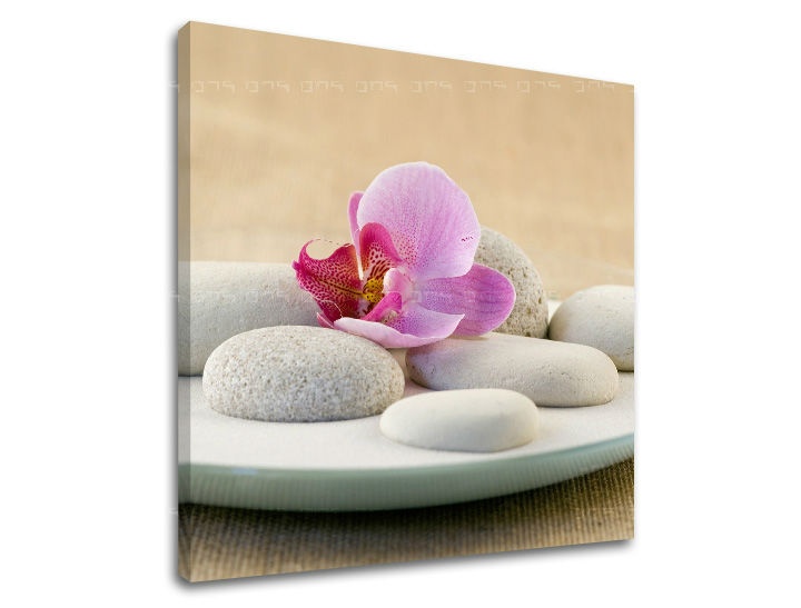 E-shop Obraz na stenu FENG SHUI FS042E12