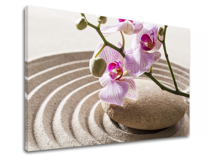E-shop Obraz na plátne FENG SHUI_050-11