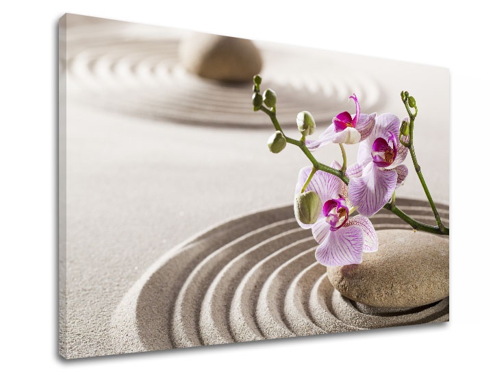 E-shop Obraz na plátne FENG SHUI_051-11