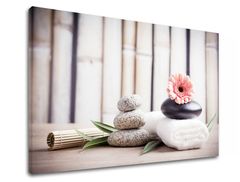 E-shop Obraz na plátne FENG SHUI_053-11 60x90 cm