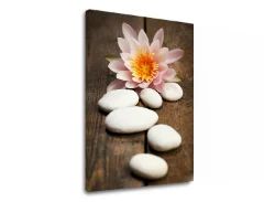 E-shop Obraz na plátne FENG SHUI_059-11 Zľava 60 % 30x40 cm