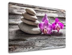 E-shop Obraz na plátne FENG SHUI_060-11 30x40 cm
