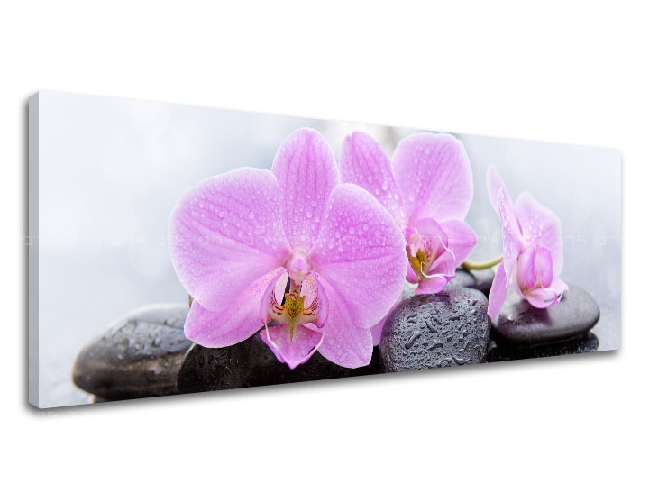 E-shop Obraz na plátne FENG SHUI_062-13
