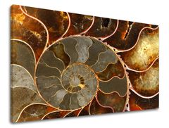 E-shop Obraz na stenu INŠPIRÁCIA 60x90 cm