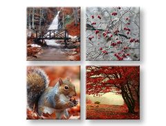E-shop Obraz na stenu Beauty of Autumn 40x40 cm