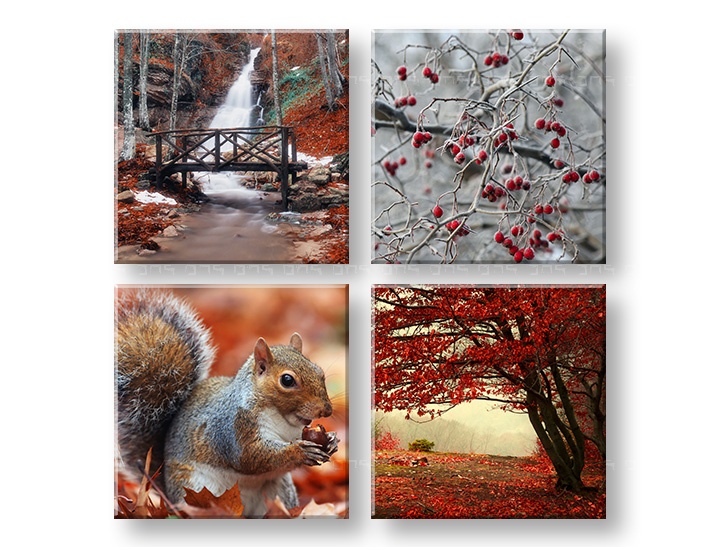 E-shop Obraz na stenu Beauty of Autumn 4 dielny XOBKOL11E42