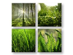 E-shop Obraz na stenu Sunrise of Nature 80x80 cm