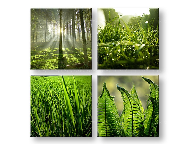 E-shop Obraz na stenu Sunrise of Nature