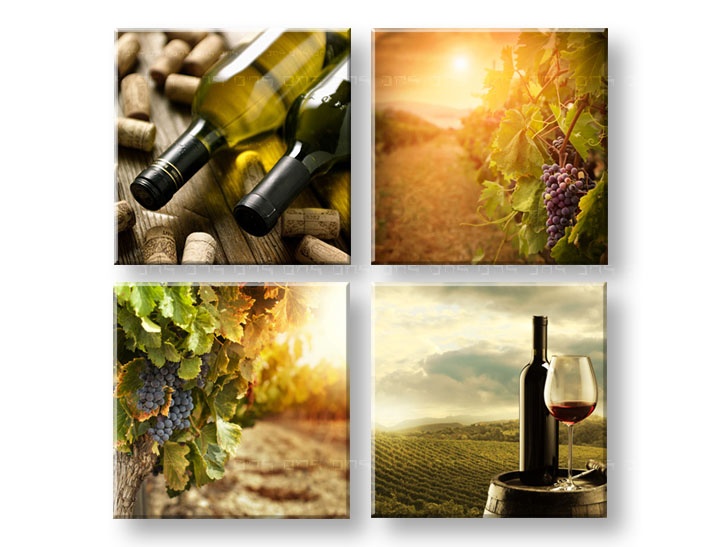 E-shop Obraz na stenu Meeting in the vineyard 4 dielny XOBKOL16E42