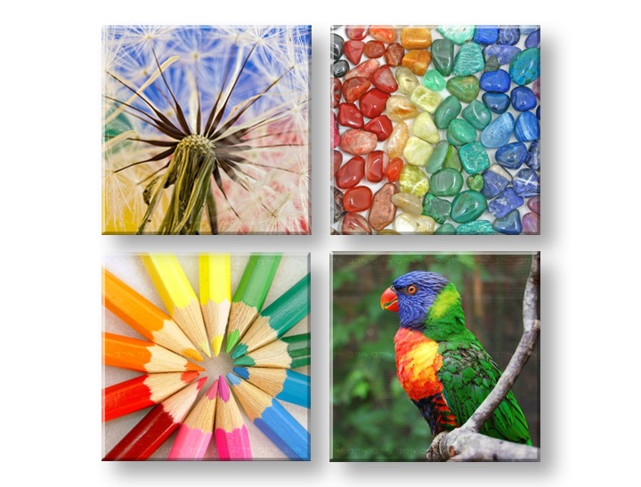 E-shop Obraz na stenu Colorful vibes 4 dielny XOBKOL20E42