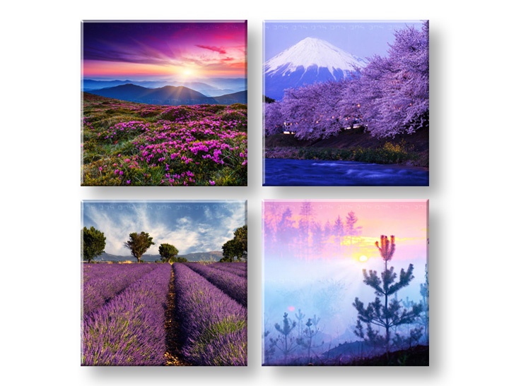 E-shop Obraz na stenu Everywhere purple 4 dielny XOBKOL21E42