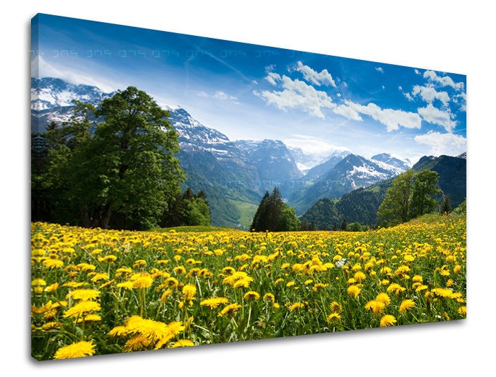 E-shop Obraz na stenu KRAJINA KR036E11