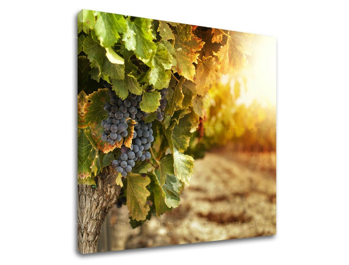 E-shop Obraz na stenu KUCHYŇA KU016E12 - 30x30 cm