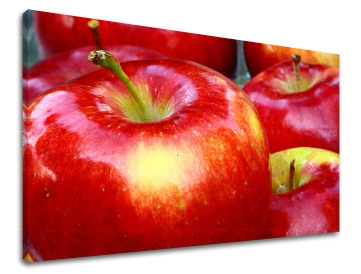 E-shop Obraz na stenu KUCHYŇA KU046E11 - 60x90 cm