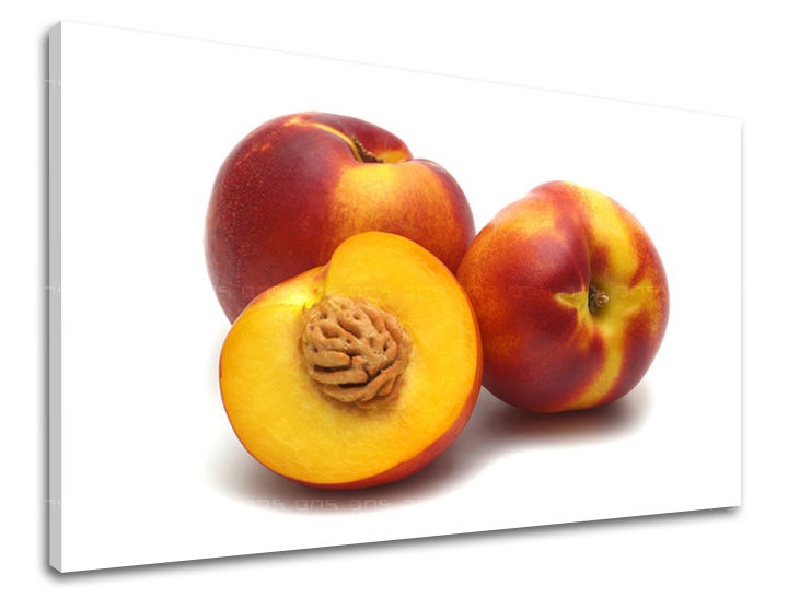 E-shop Obraz na stenu KUCHYŇA KU047E11 - 40x60 cm