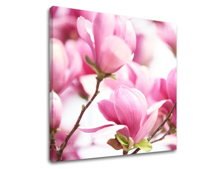 E-shop Obraz na stenu KVETY KV002E12 - 60x60 cm