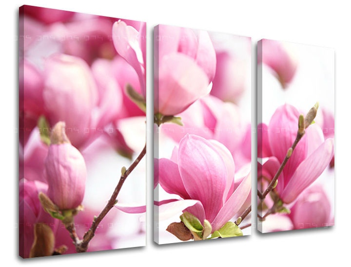 E-shop Obraz na stenu 3 dielny KVETY KV002E30 - 60x40 cm