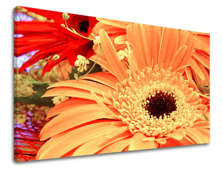 E-shop Obraz na stenu KVETY KV006E11 - 40x60 cm