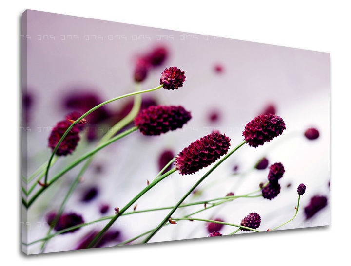 E-shop Obraz na stenu KVETY KV007E11 - 20x30 cm