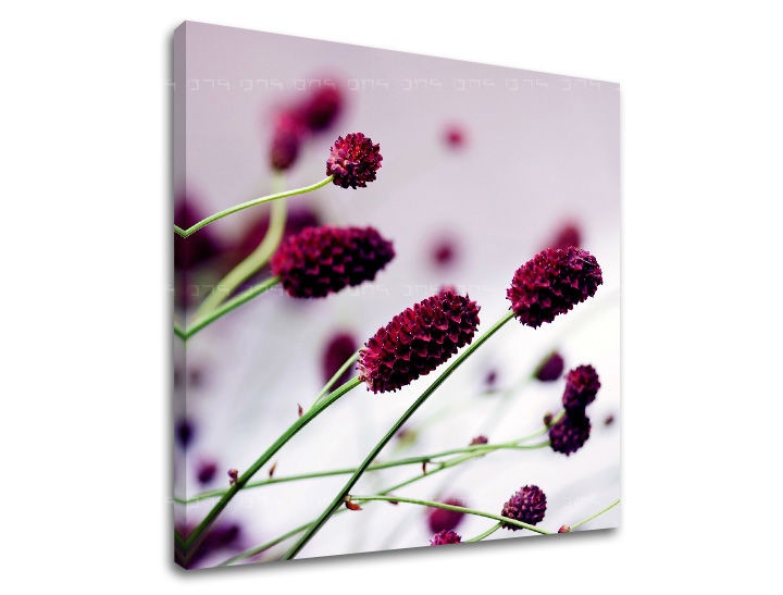 E-shop Obraz na stenu KVETY KV007E12 - 90x90 cm