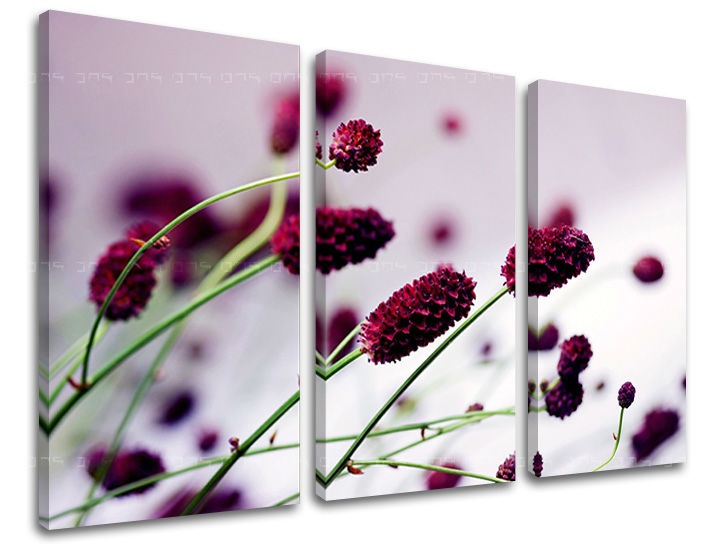 E-shop Obraz na stenu 3 dielny KVETY KV007E30 - 90x60 cm