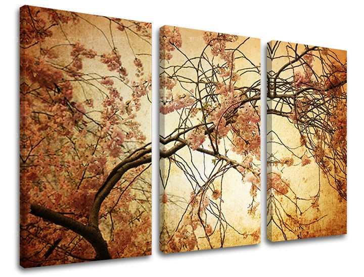 E-shop Obraz na stenu 3 dielny KVETY KV009E30 - 120x80 cm