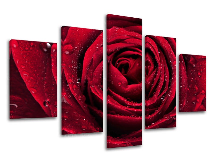 E-shop Obraz na stenu 5 dielny KVETY KV012E50 - 150x100 cm