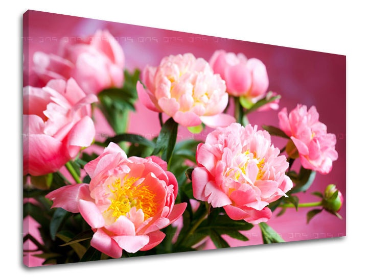 E-shop Obraz na stenu KVETY KV013E11 - 30x40 cm